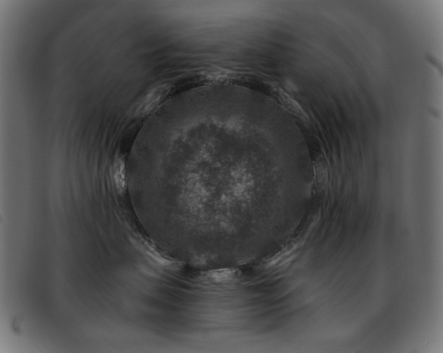 X0000093480479200710121449