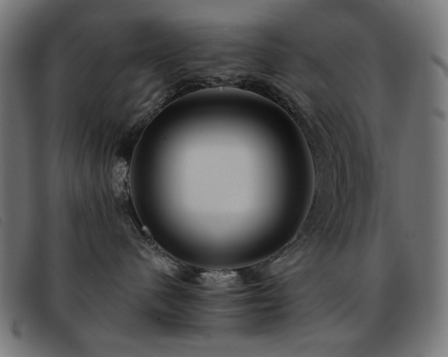 X0000093480480200710121449