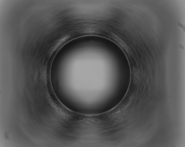 X0000093480482200710121449