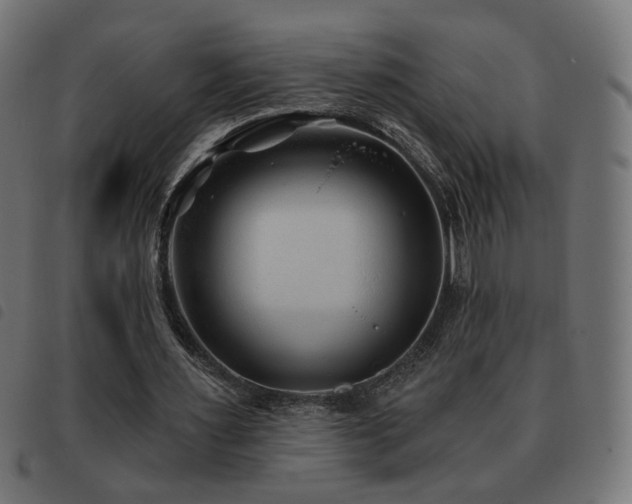 X0000093480483200710121449