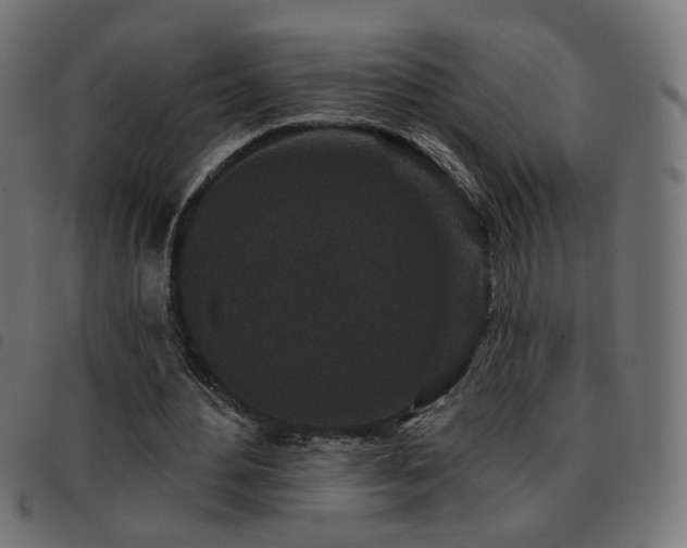 X0000093480484200710121449
