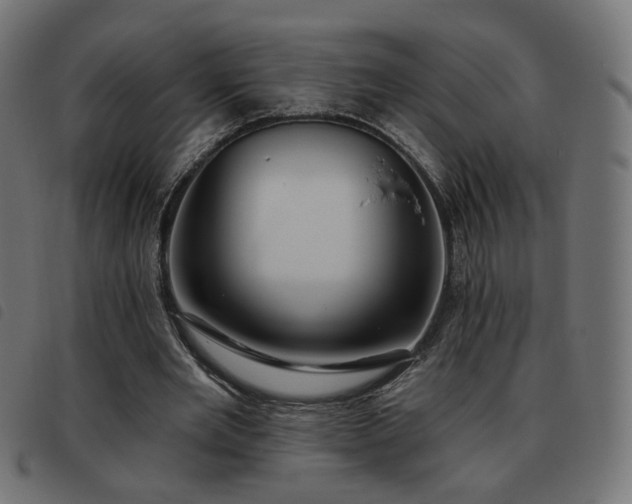 X0000093480485200710121449