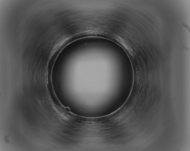X0000093480486200710121449