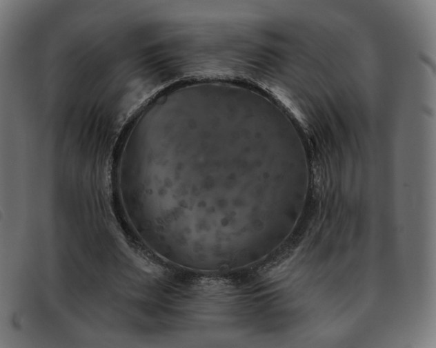 X0000093480487200710121449