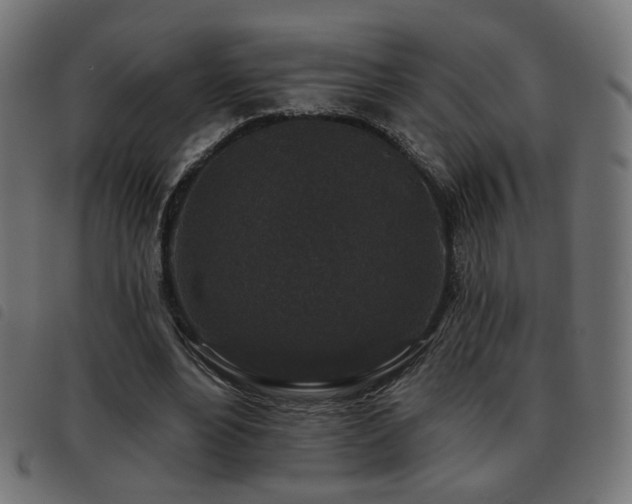 X0000093480488200710121449