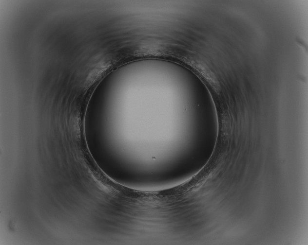 X0000093480489200710121449