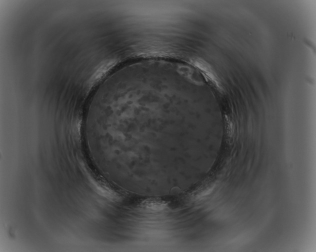 X0000093480491200710121449