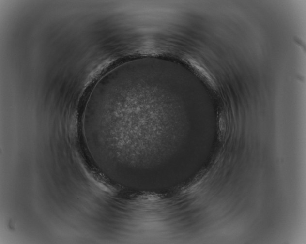 X0000093480492200710121449