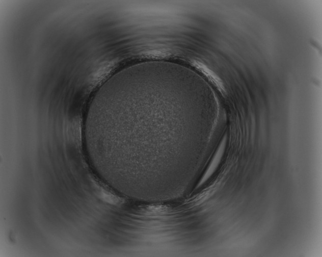 X0000093480493200710121449