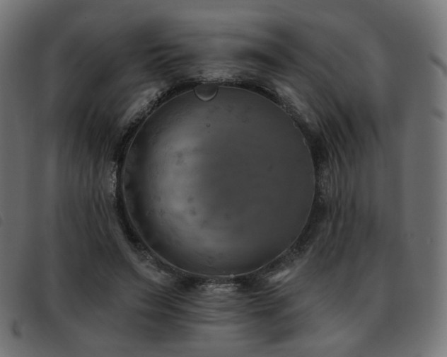 X0000093480495200710121449