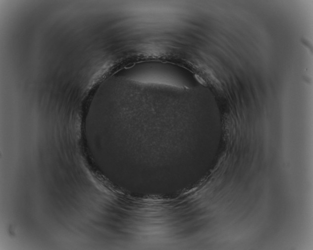 X0000093480496200710121449