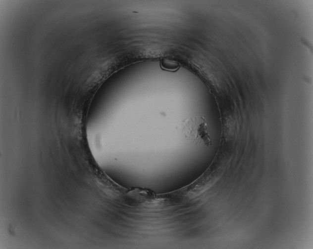 X0000093480497200710121449