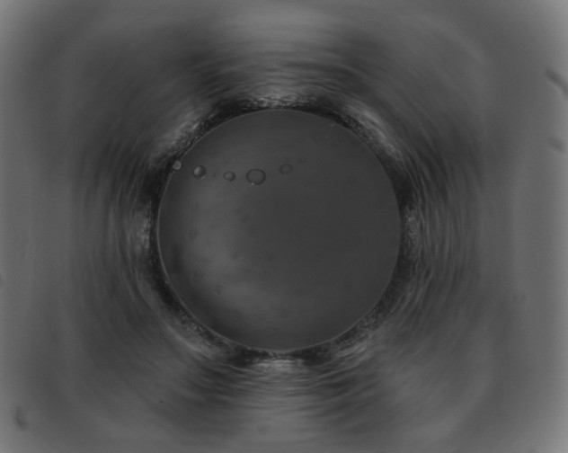 X0000093480499200710121448
