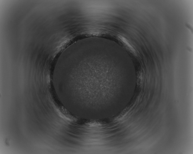 X0000093480500200710121448