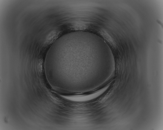 X0000093480501200710121448