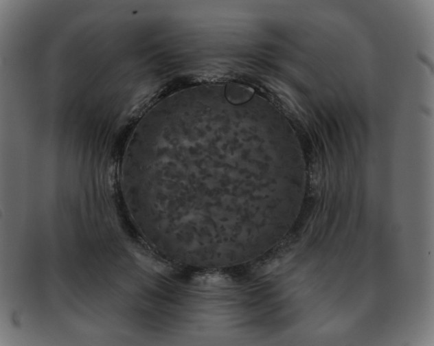 X0000093480503200710121448