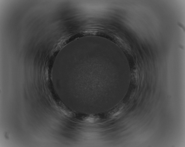 X0000093480504200710121448
