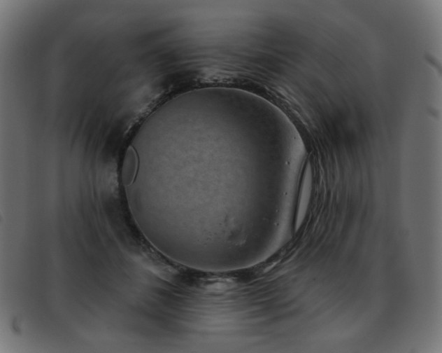 X0000093480508200710121448