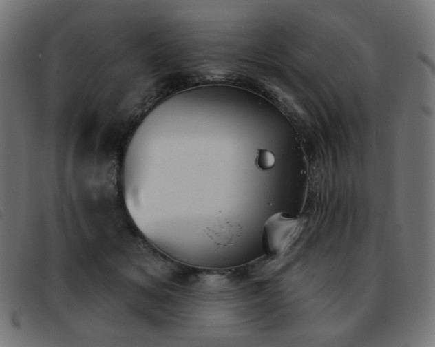 X0000093480509200710121448