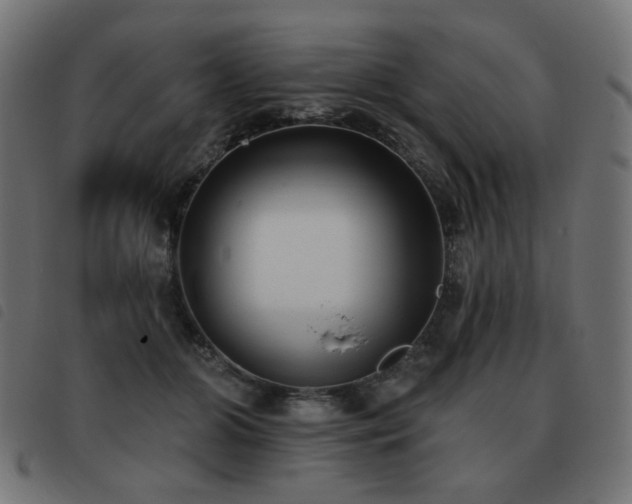 X0000093480510200710121448