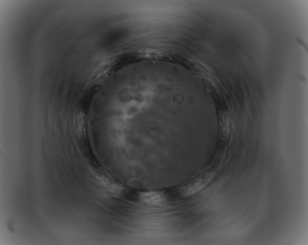 X0000093480511200710121448