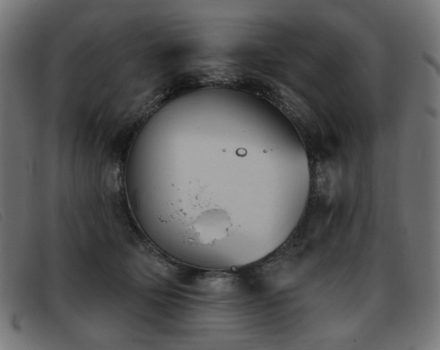 X0000093480514200710121448