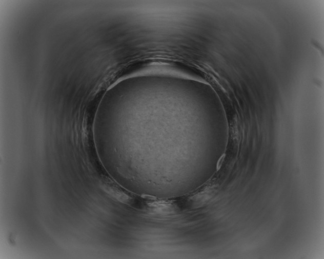 X0000093480516200710121448
