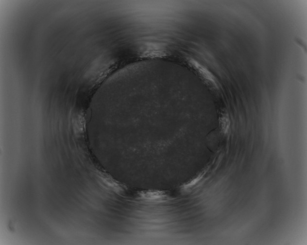 X0000093480517200710121448