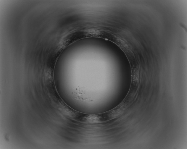 X0000093480518200710121448