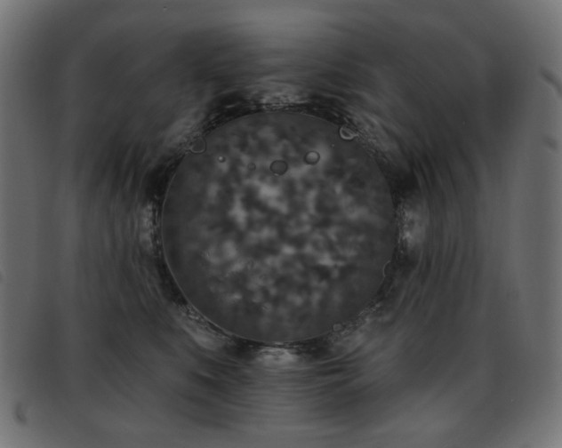 X0000093480519200710121448