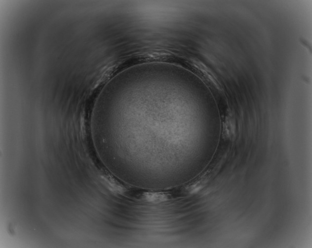 X0000093480520200710121448