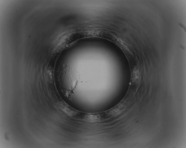 X0000093480522200710121448