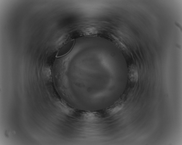 X0000093480523200710121448
