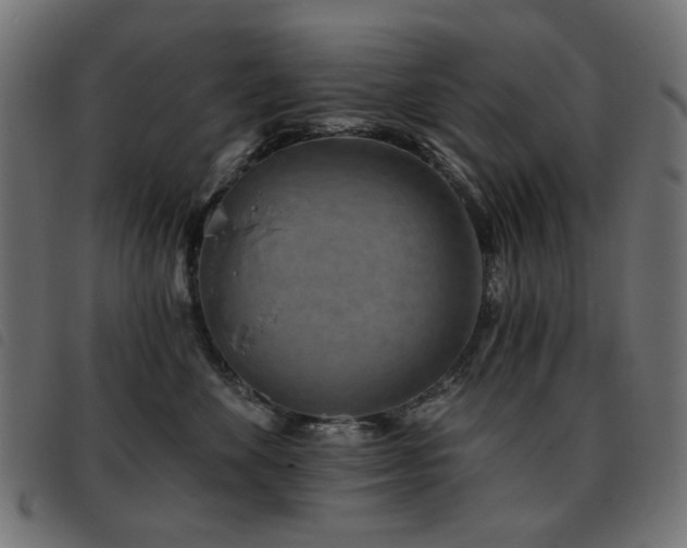 X0000093480524200710121448
