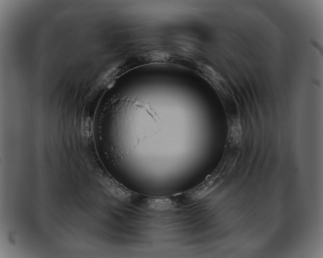 X0000093480525200710121448