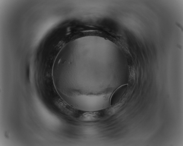 X0000093480526200710121448