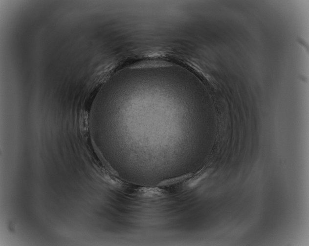 X0000093480528200710121448