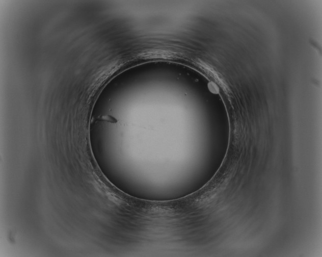 X0000093480529200710121447