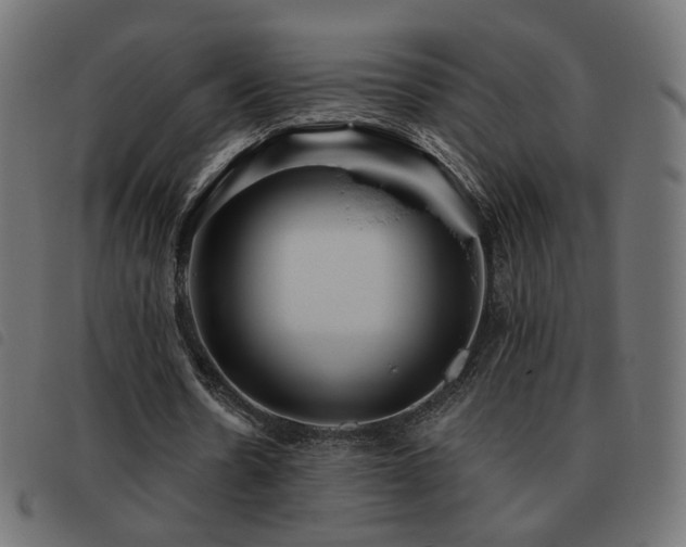X0000093480530200710121447