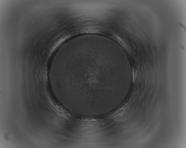 X0000093480531200710121447