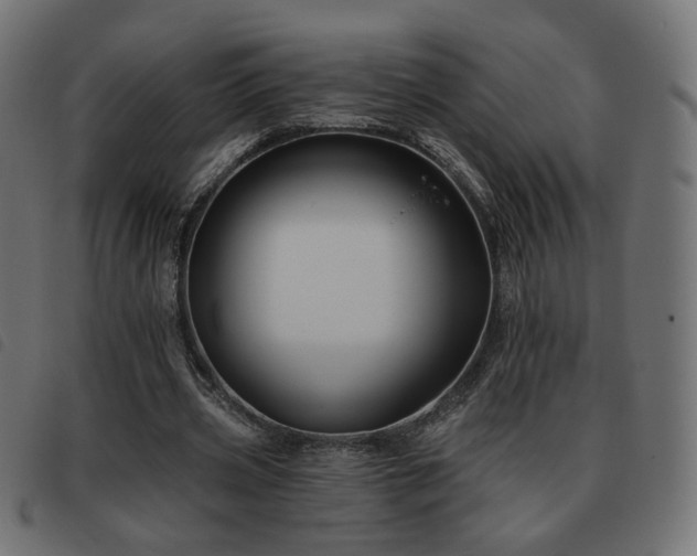 X0000093480533200710121447