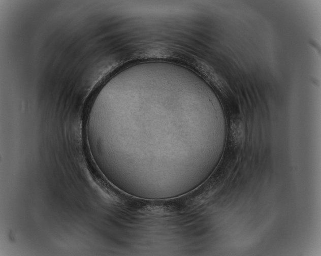 X0000093480534200710121447