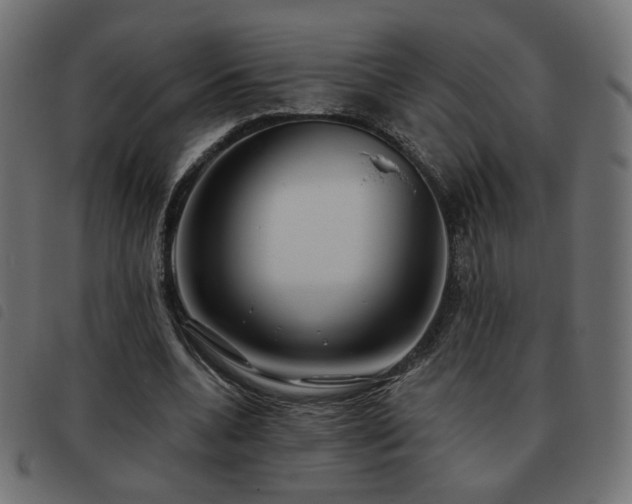 X0000093480536200710121448