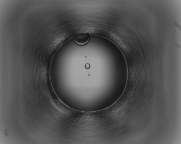 X0000093480538200710121448