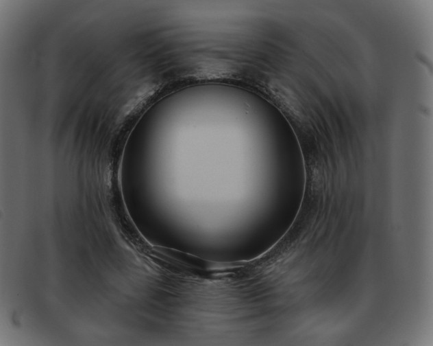 X0000093480539200710121448