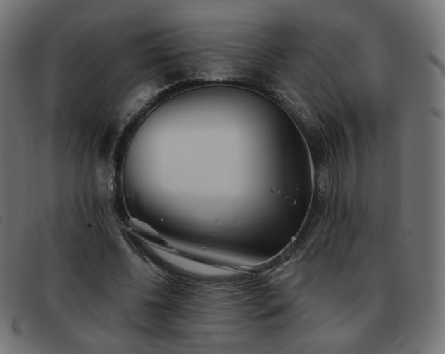 X0000093480540200710121448