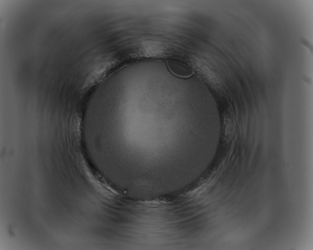 X0000093480542200710121448