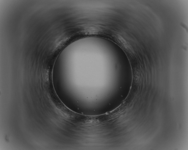X0000093480543200710121448