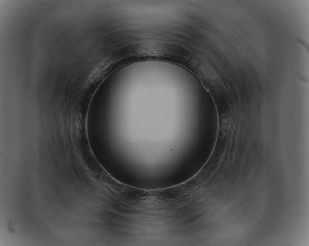 X0000093480544200710121448