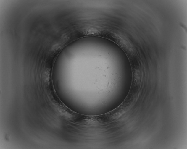 X0000093480545200710121448